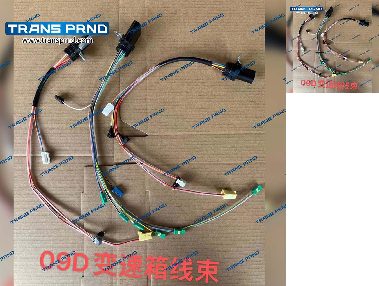 09D harness 线束