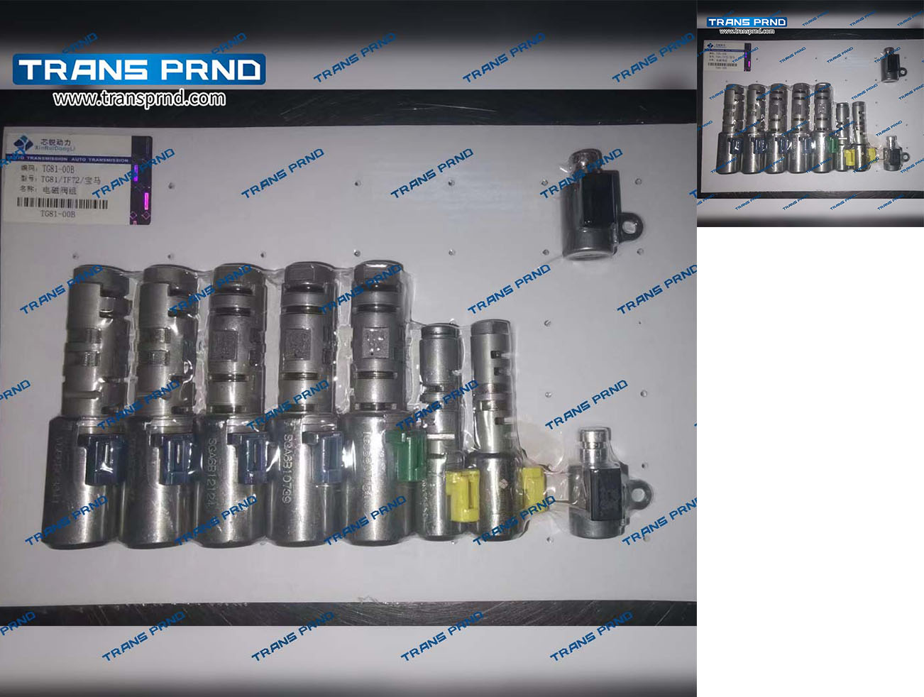 TG81SC  Solenoid valve  电磁阀