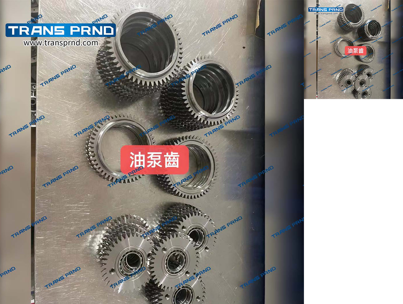 10L60&80  Oil pump tooth  油泵齿
