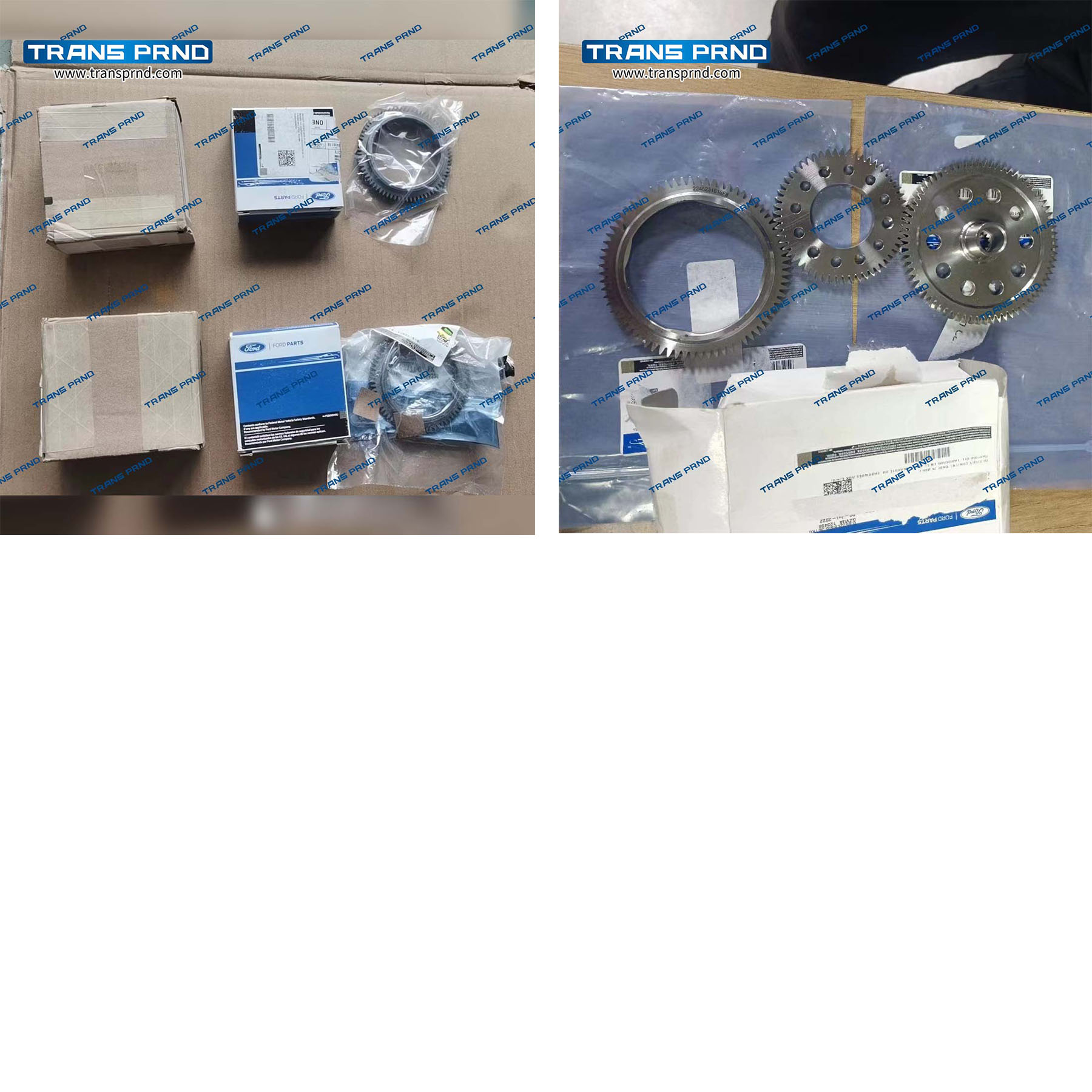 产品图  油泵齿-1.jpg